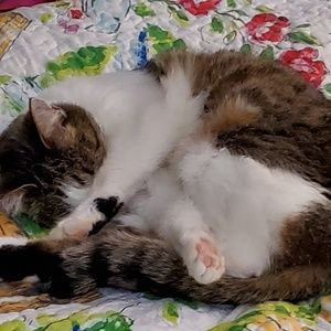 Meet your Posher, Nancy